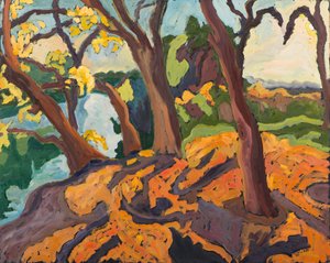 Arbres vieillissants, 2009 - Marta Martonfi Benke